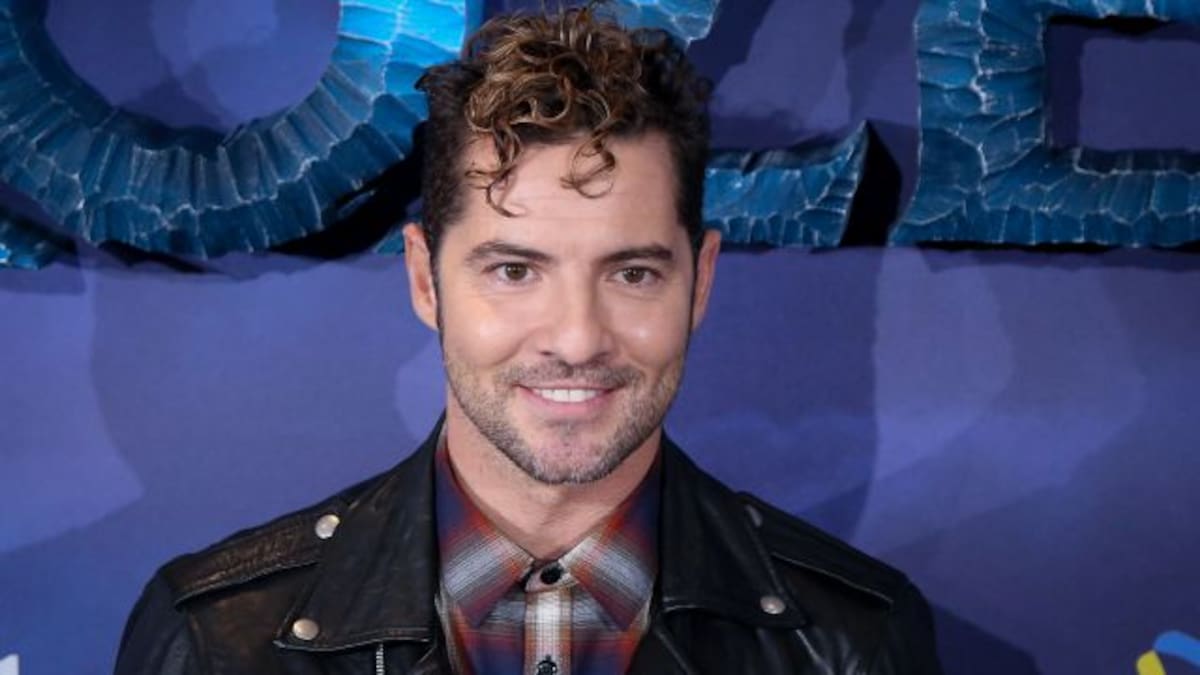 Los Reyes de España y David Bisbal hablan por video llamada y hay un detalle que no ha pasado desapercibido