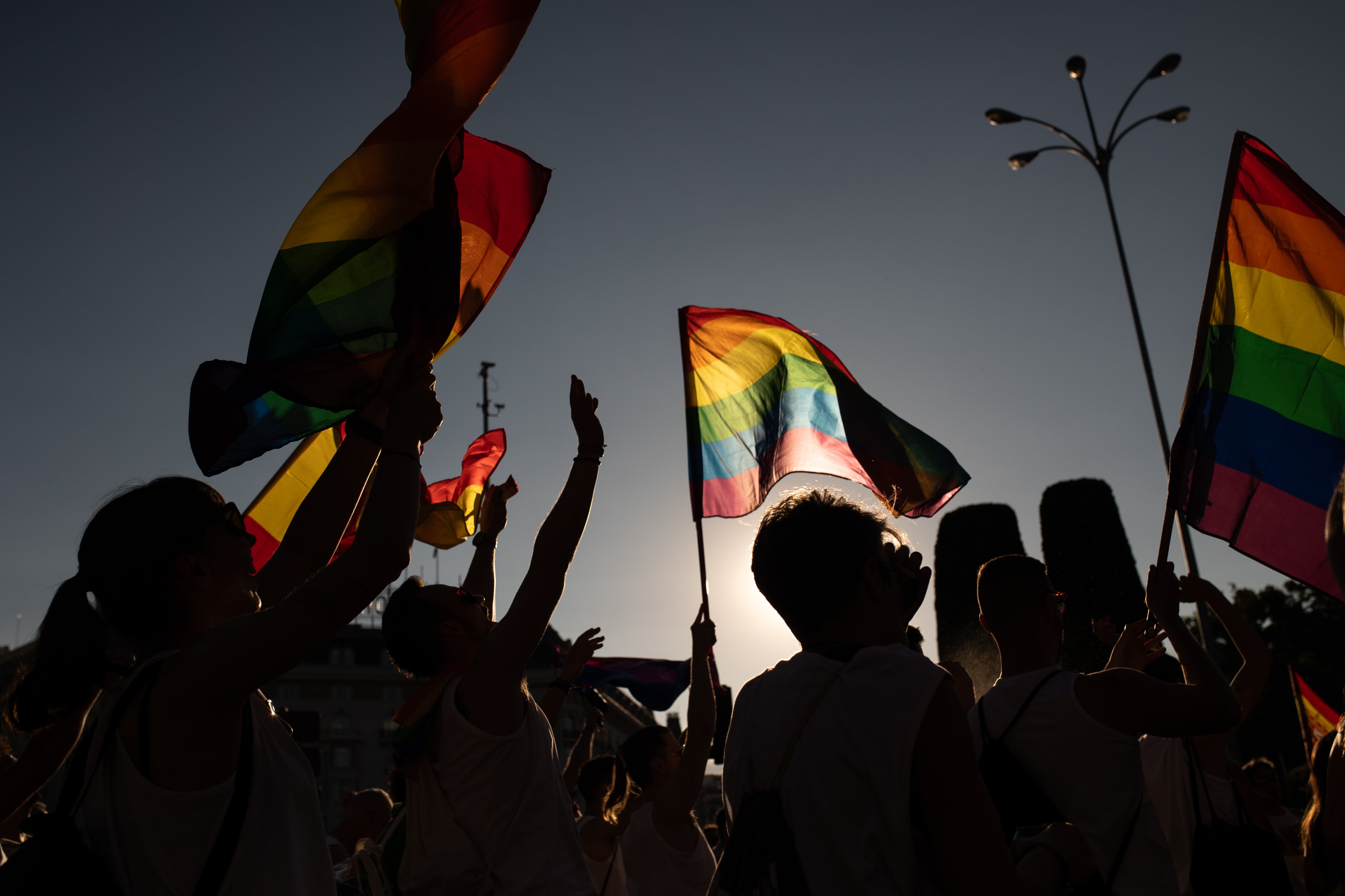 Algunas banderas LGTB en la marcha del Orgullo 2024 en Madrid / Getty.