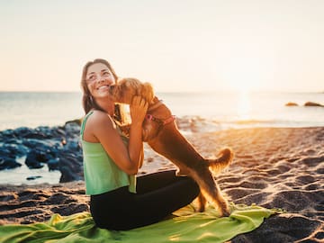 110 playas para perros en España abiertas este 2023