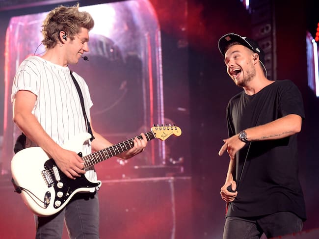 Niall Horan y Liam Payne durante el "Where We Are Tour" en Pasadena (California), 2014