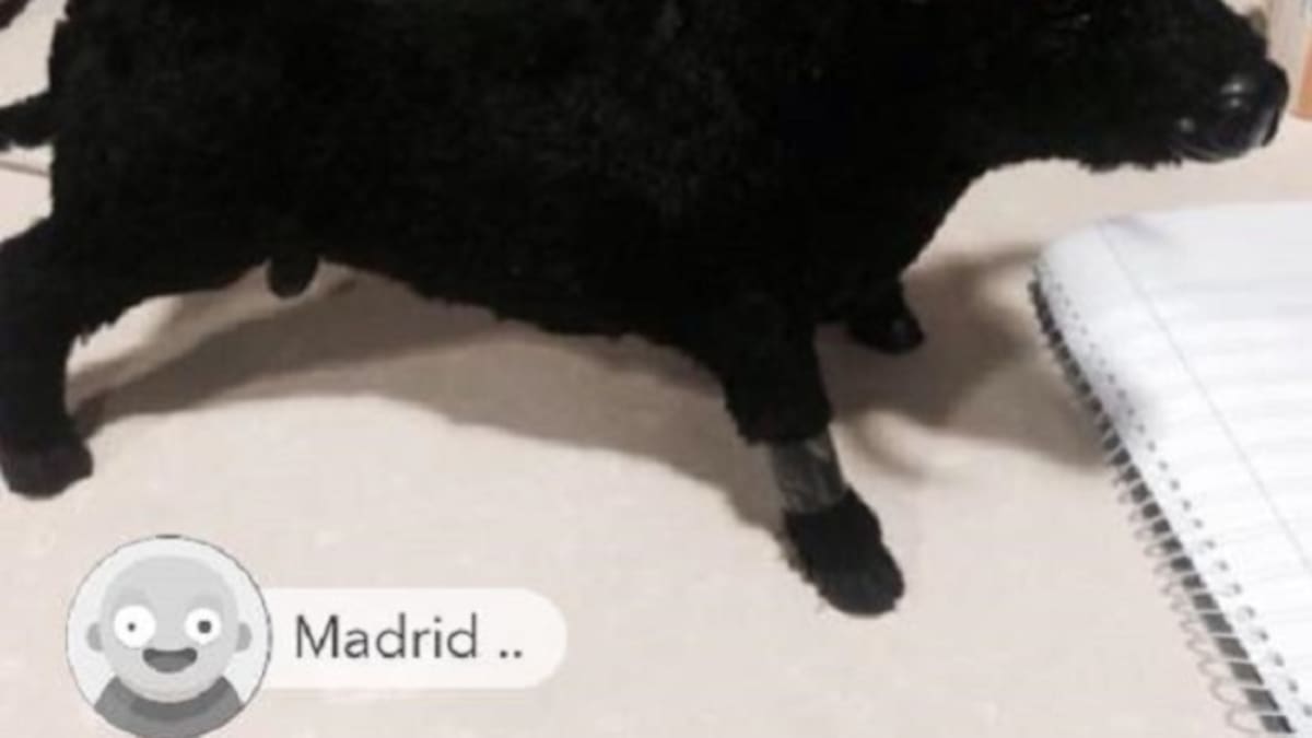 Bobadas que se venden por Wallapop