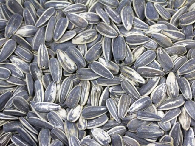 Seed Cycling, regula tu período menstrual con semillas