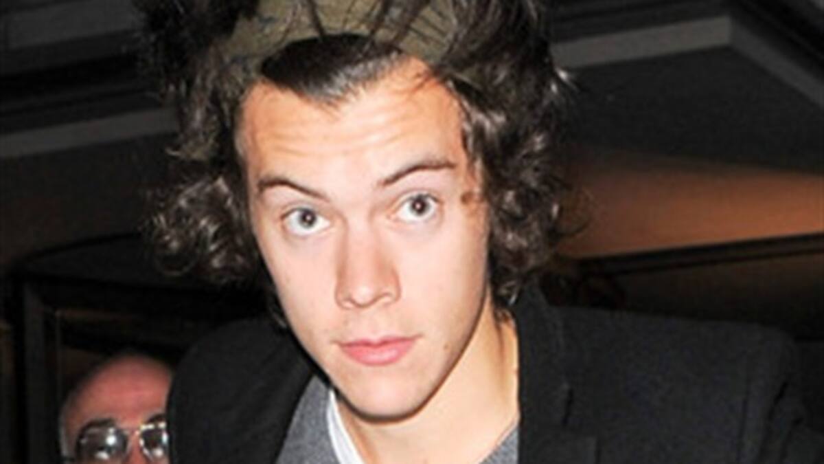 Harry Styles vuelve a un viejo amor