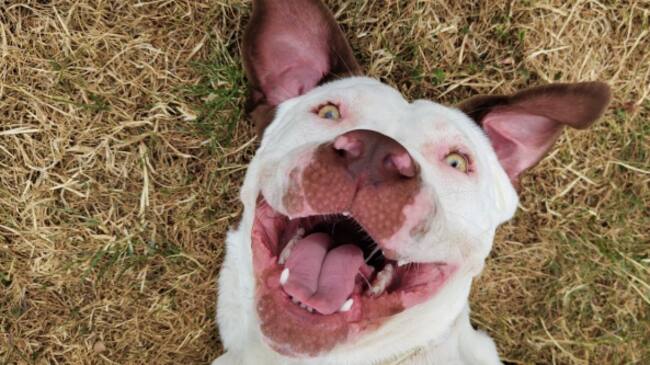 Foto hecha con el Nothing (1)