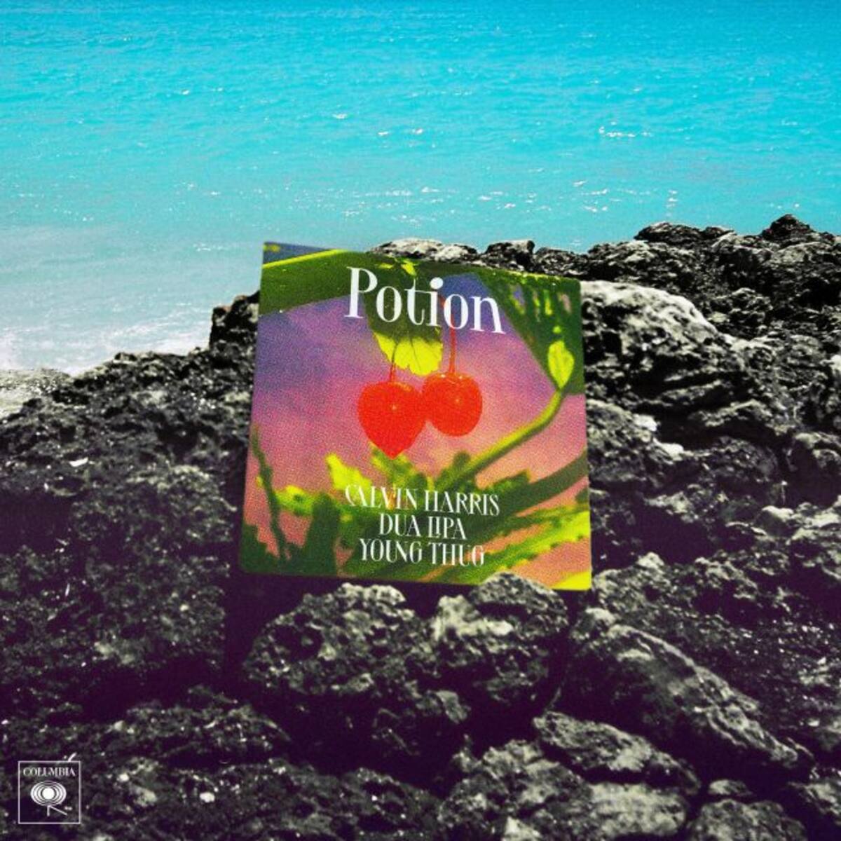 CALVIN HARRIS LANZA “POTION”