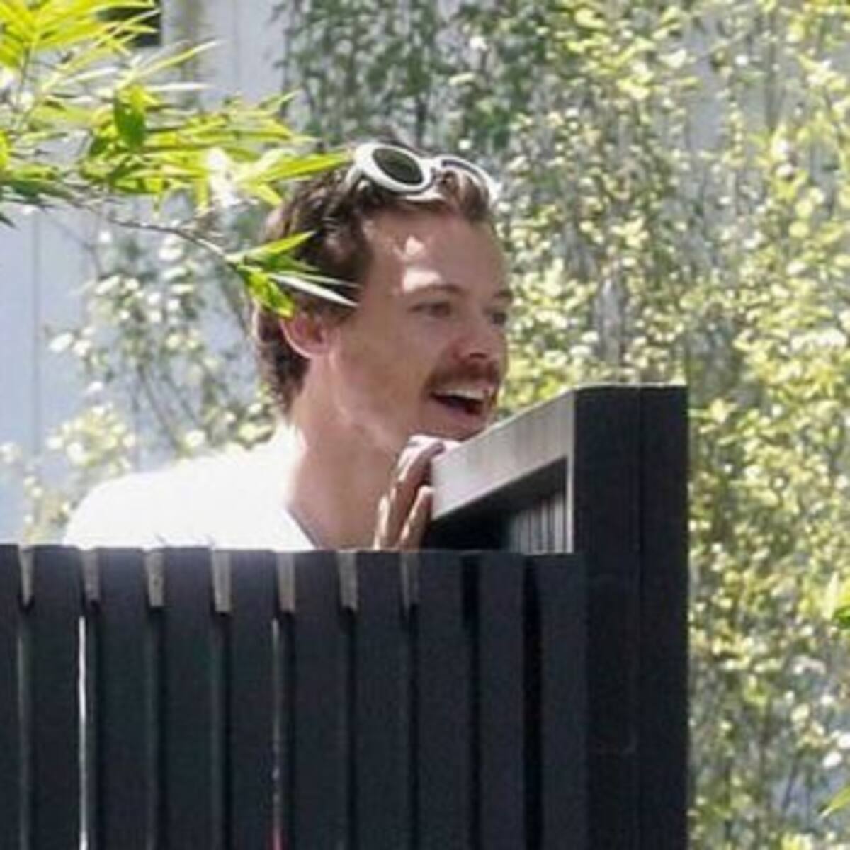Harry Styles estrenó nuevo look con bigote