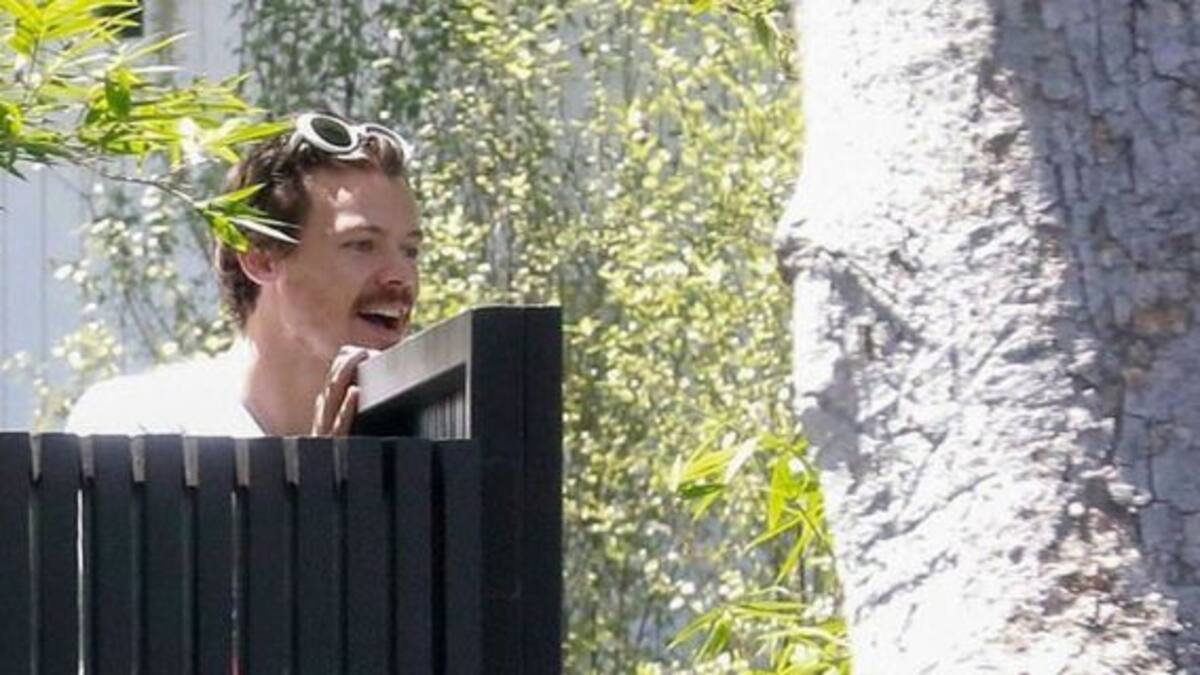 Harry Styles estrenó nuevo look con bigote