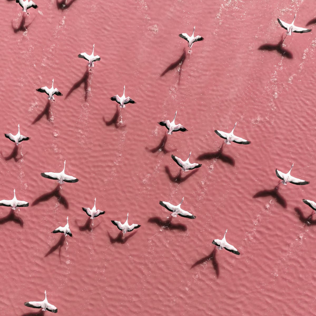 El día que nos recuerda que sin naturaleza no hay futuro