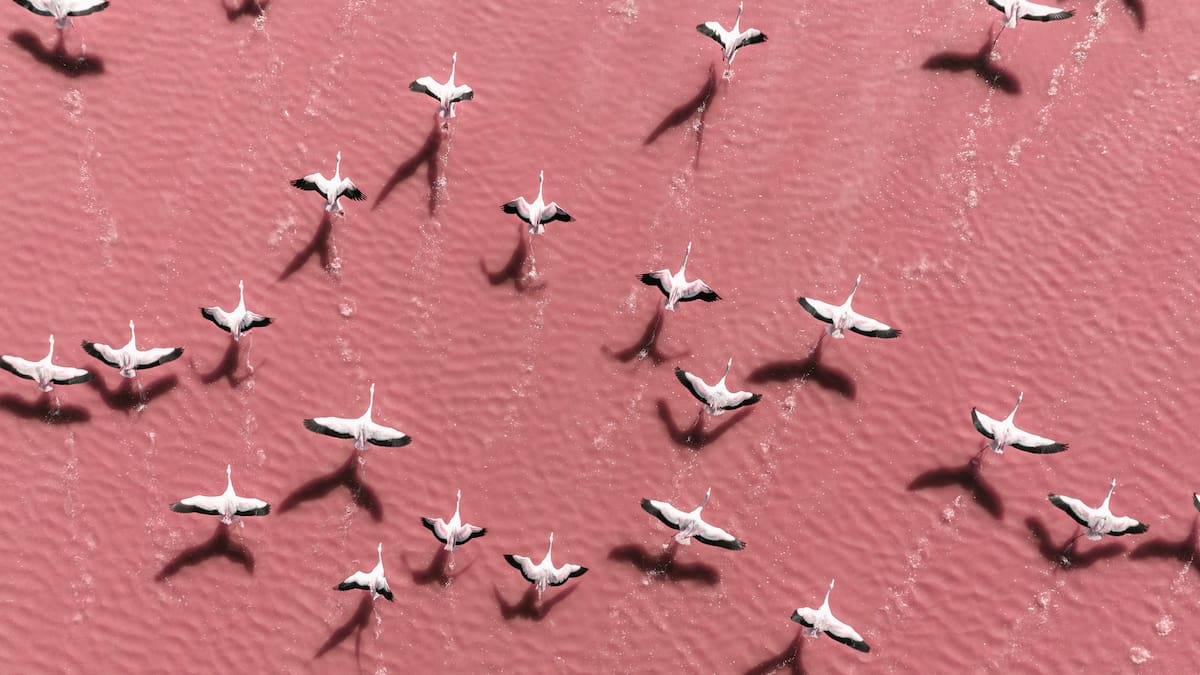 El día que nos recuerda que sin naturaleza no hay futuro