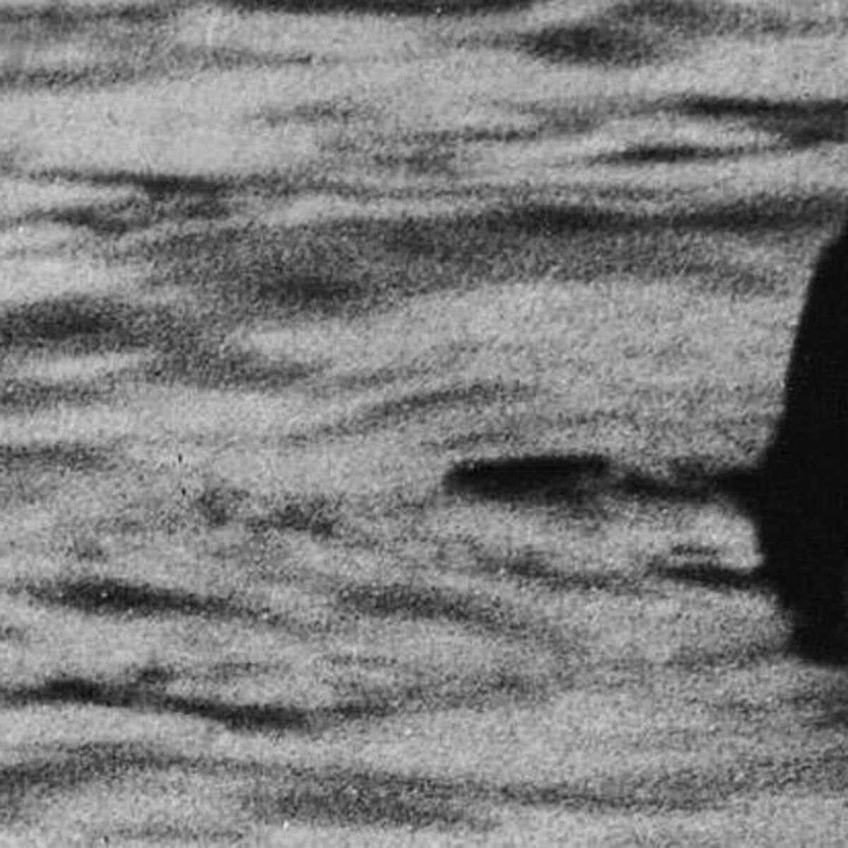 Hasta Google busca al Monstruo del Lago Ness