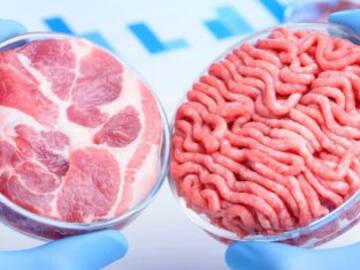 ¿Comeremos carne de laboratorio en el futuro?