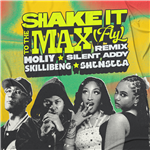 Shake it to the max (Fly)