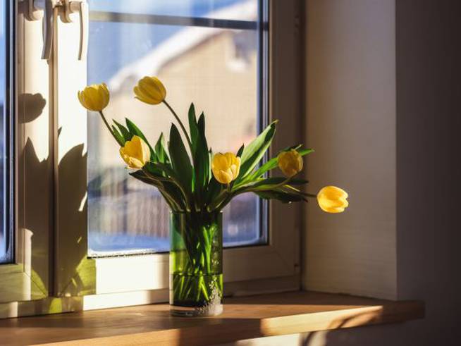 Jarrón con flores amarillas posadas frente a la ventana.