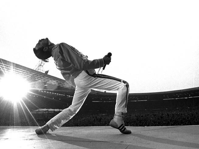 Freddie Mercury - Figure 7